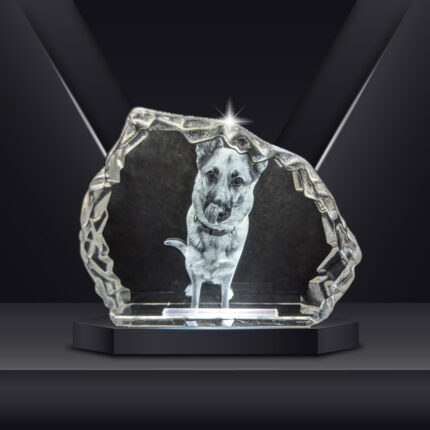 3D Crystal Paper weight